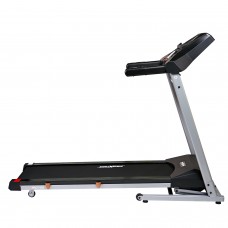 Беговая дорожка Royal Fitness RF-2