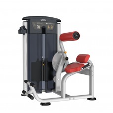 AeroFit IT9532 Разгибание спины