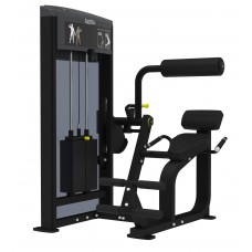 AeroFIT IF9332 Разгибание спины