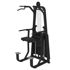 Bronze Gym LD-9009 Турник/брусья с противовесом